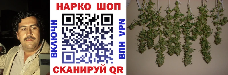 Купить наркотики сайты Волосово Канабис  Кокаин  ГАШ  А ПВП  МЕФ 