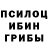 Галлюциногенные грибы Psilocybine cubensis Nicholas Michael