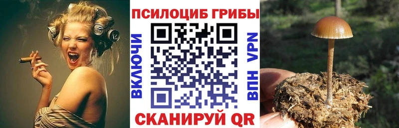 Галлюциногенные грибы Psilocybine cubensis  где купить   Волосово 